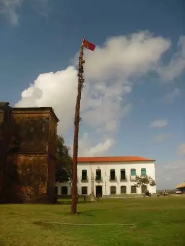 AL (9)