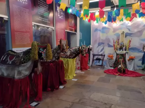 IMG_20210729_180840743